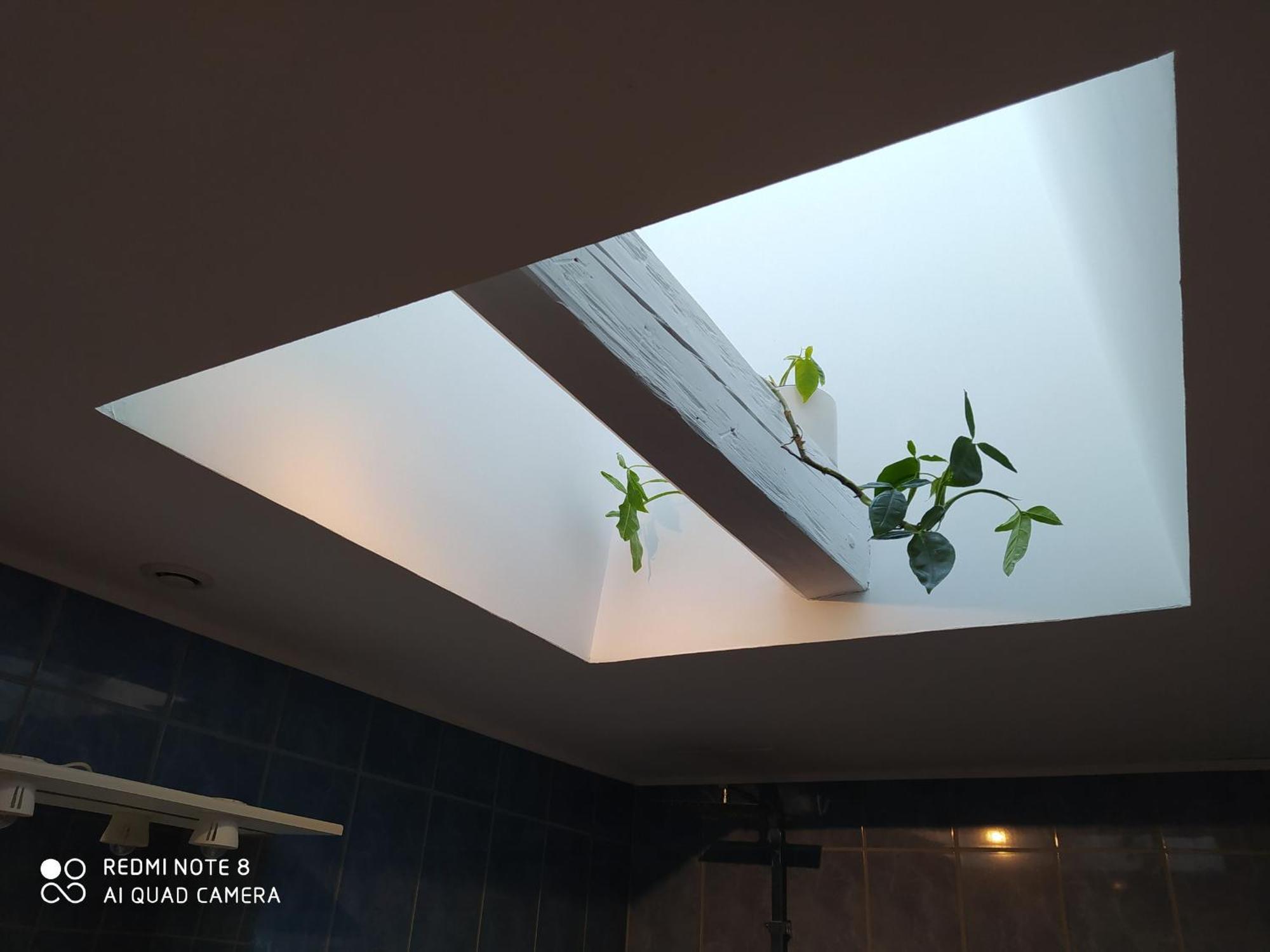 Gite Calme 4 Chambres, Terrasse Privative, Draps Inclus - Germonville - Fr-1-584-167 Екстериор снимка